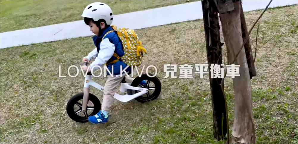 動画を読み込む: 