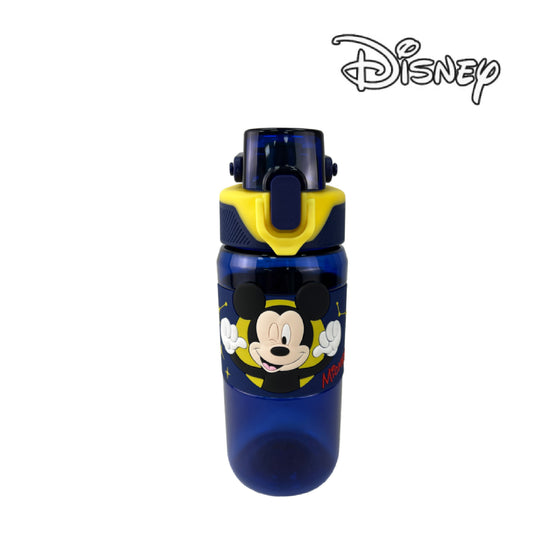 【ディズニーウォーターボトル】ディズニーシリーズの直飲み水筒 選べる3タイプ
